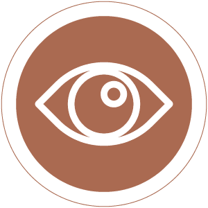 Visão da Incordis Brasília